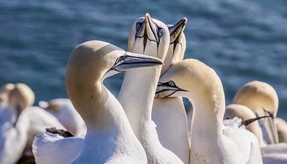 leyu乐鱼体育综合-世界杯中国女足战平 球员技术表现获赞，中国女足世界杯阵容