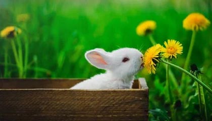 leyu乐鱼体育综合-世界杯中国女足战平 球员技术表现获赞，中国女足世界杯阵容