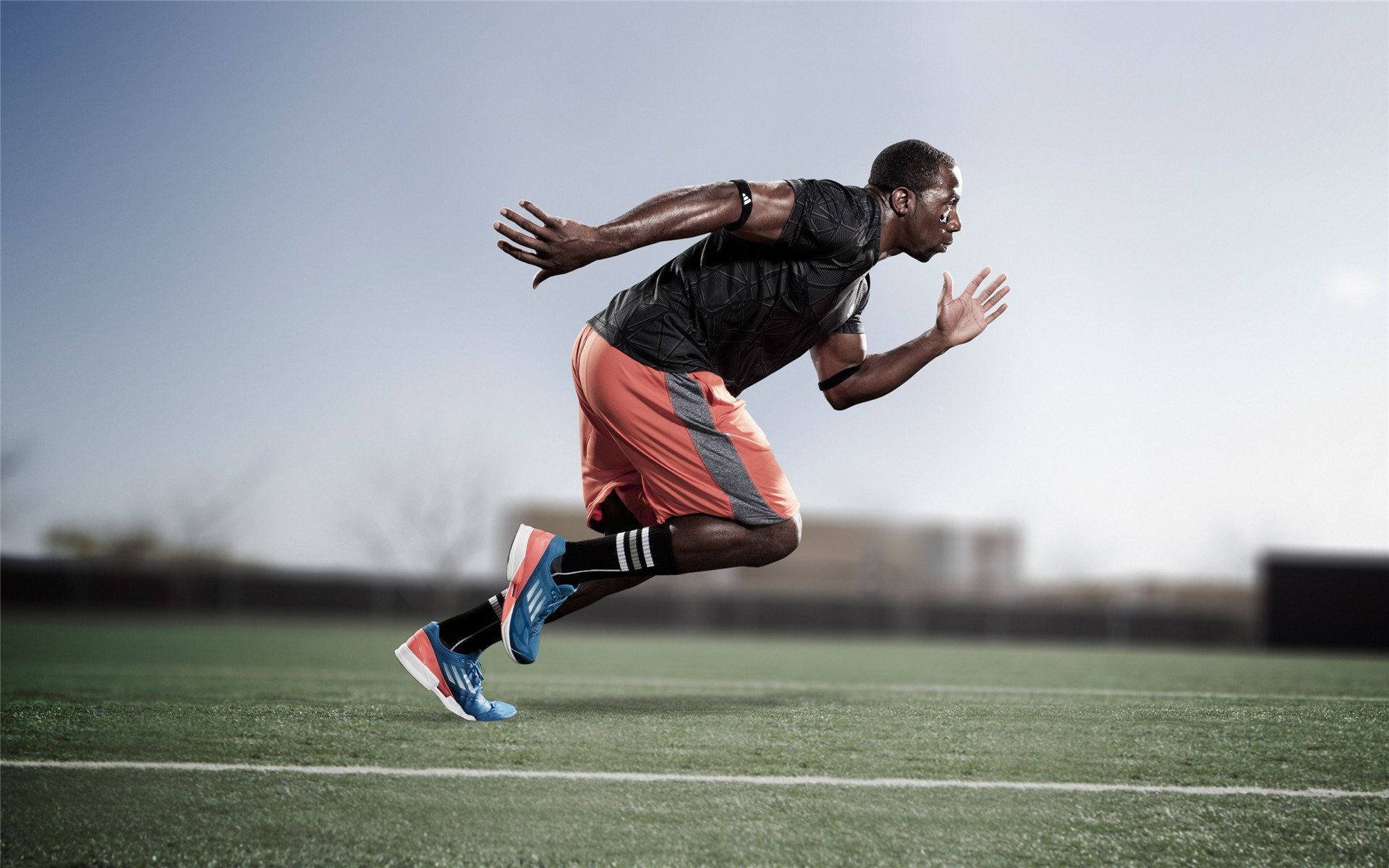 APP下载 LY Sports-韩国数字化治理经验获推广，韩国打击数字货币